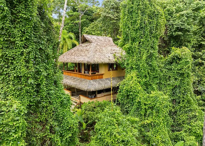 Copa De Arbol Beach & Rainforest Resort