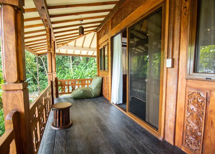 Selva Armonia Immersive Jungle Resort